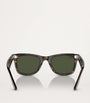 Acetate Wayfarer Sunglasses