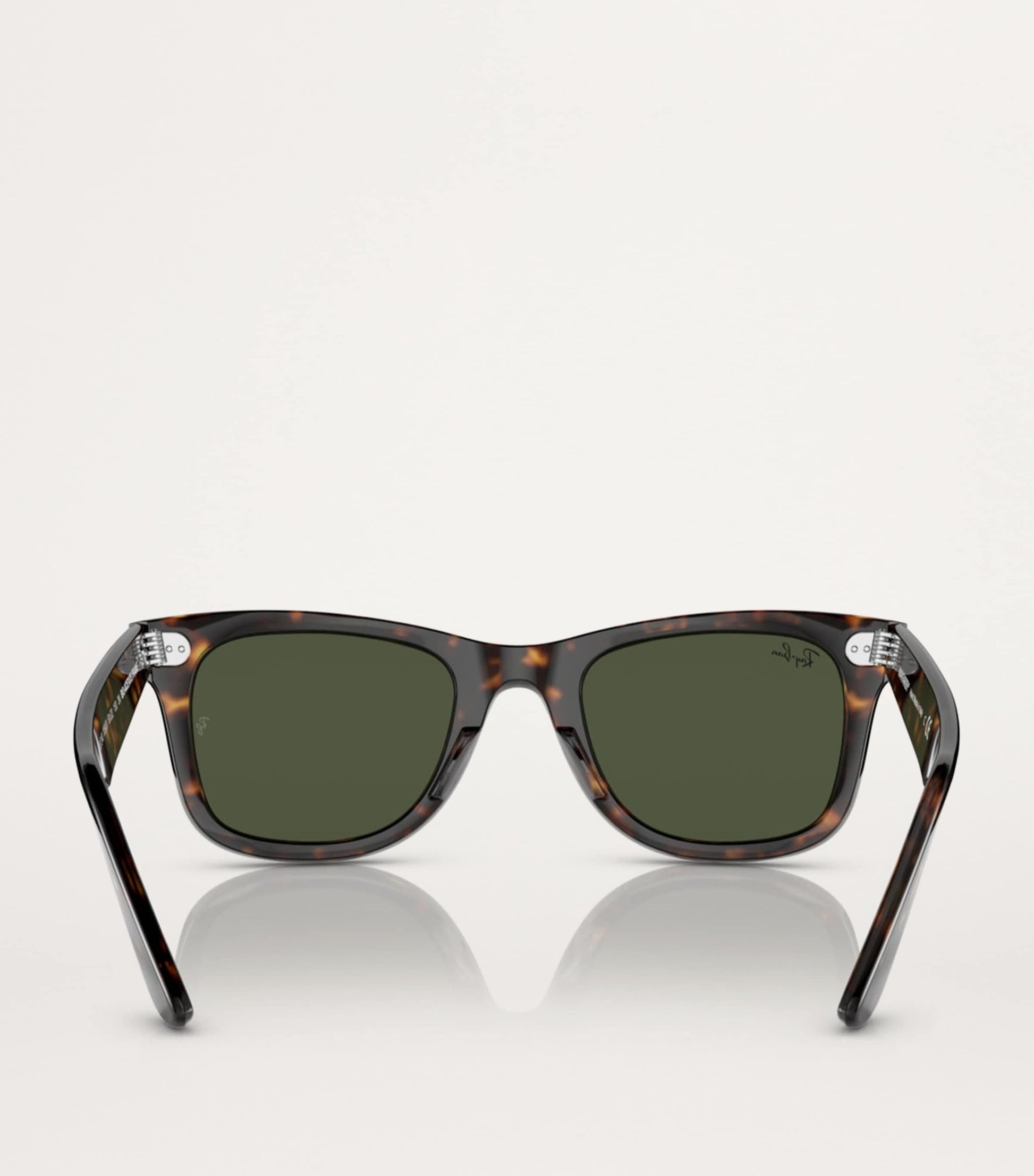 Acetate Wayfarer Sunglasses