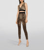 Dolce & Gabbana Multi Leopard Print Crop Top