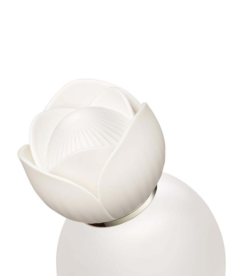 Decorté AQ Perfumed Hair Mist (30ml)