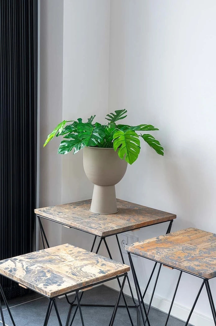 Saksıda Yapay Bitki House Nordic Monstera