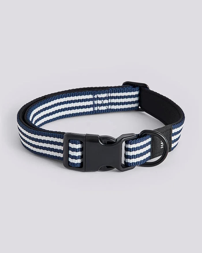 HAY köpek tasması M/L