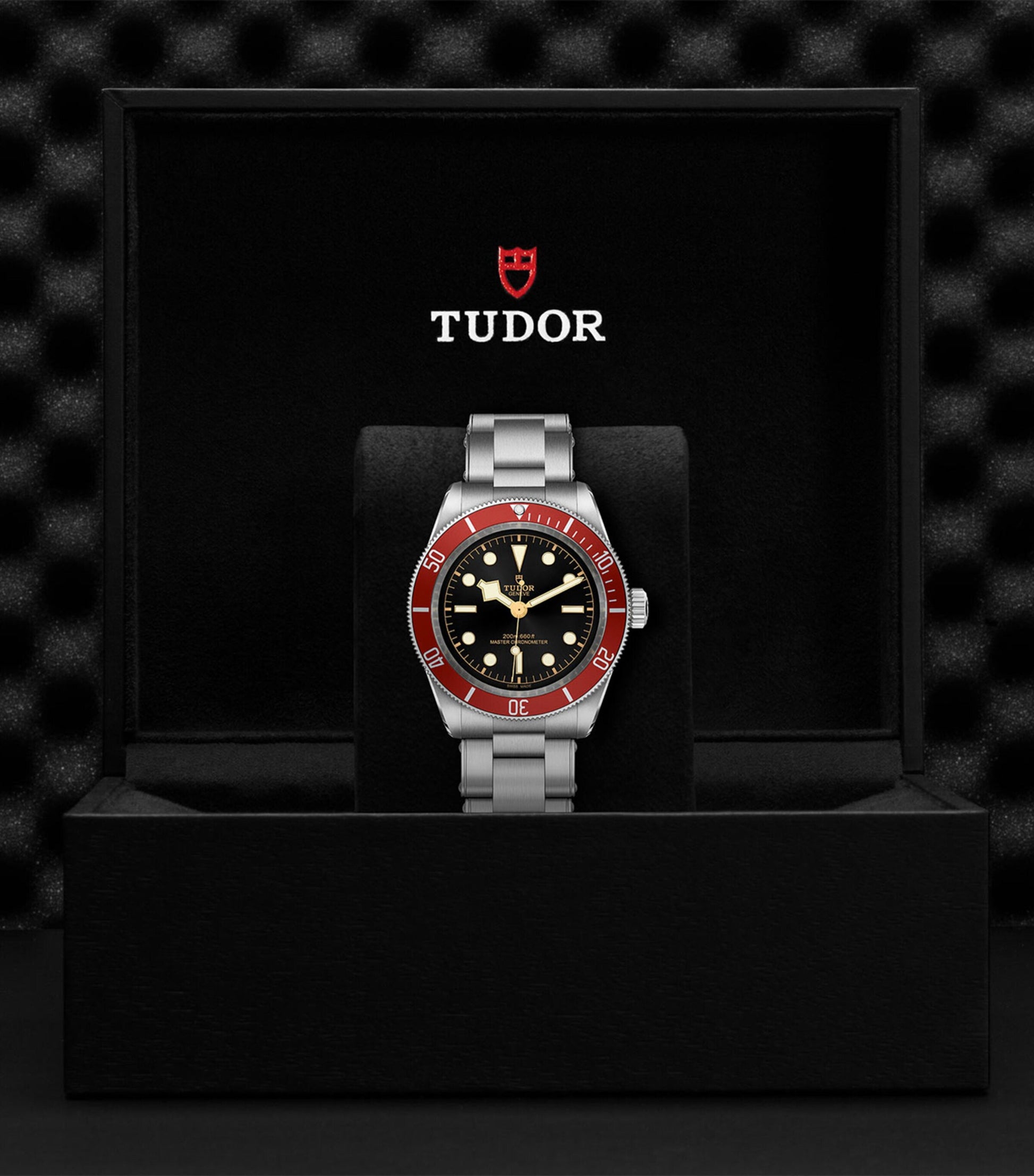 Stainless Steel Black Bay Watch 41mm