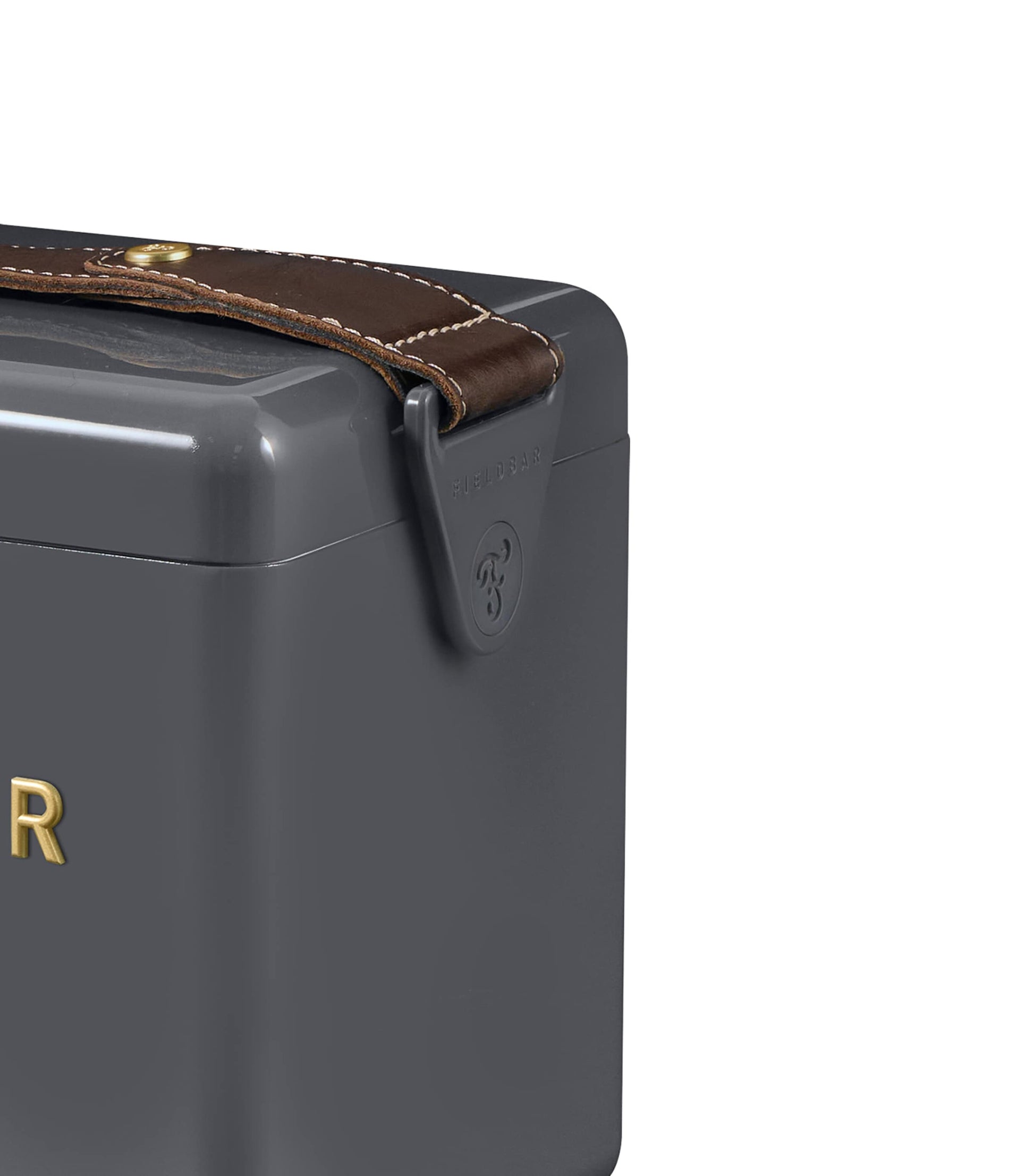 Mini Bar Cooler Box with Leather Sling (4L)