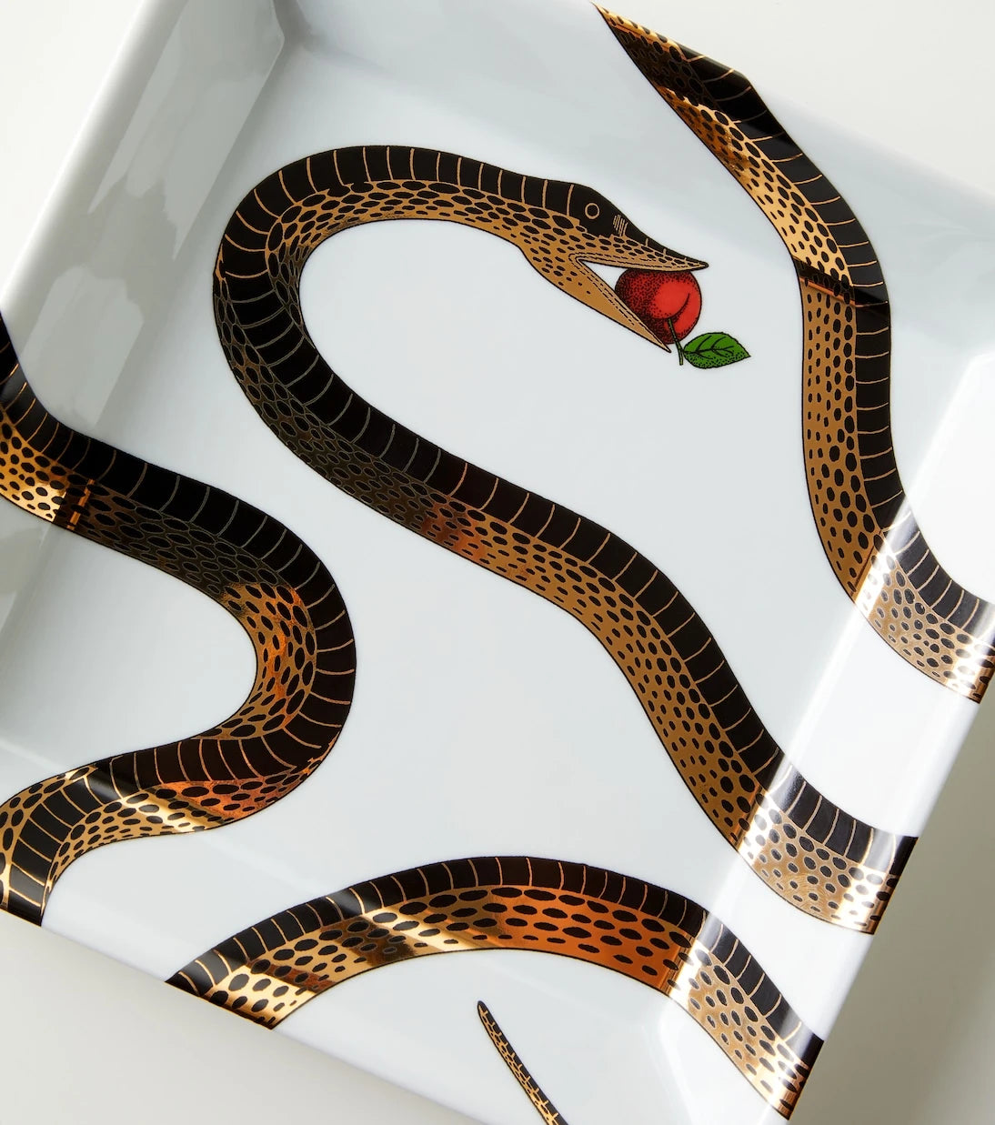 Fornasetti - Porcelain decorative tray