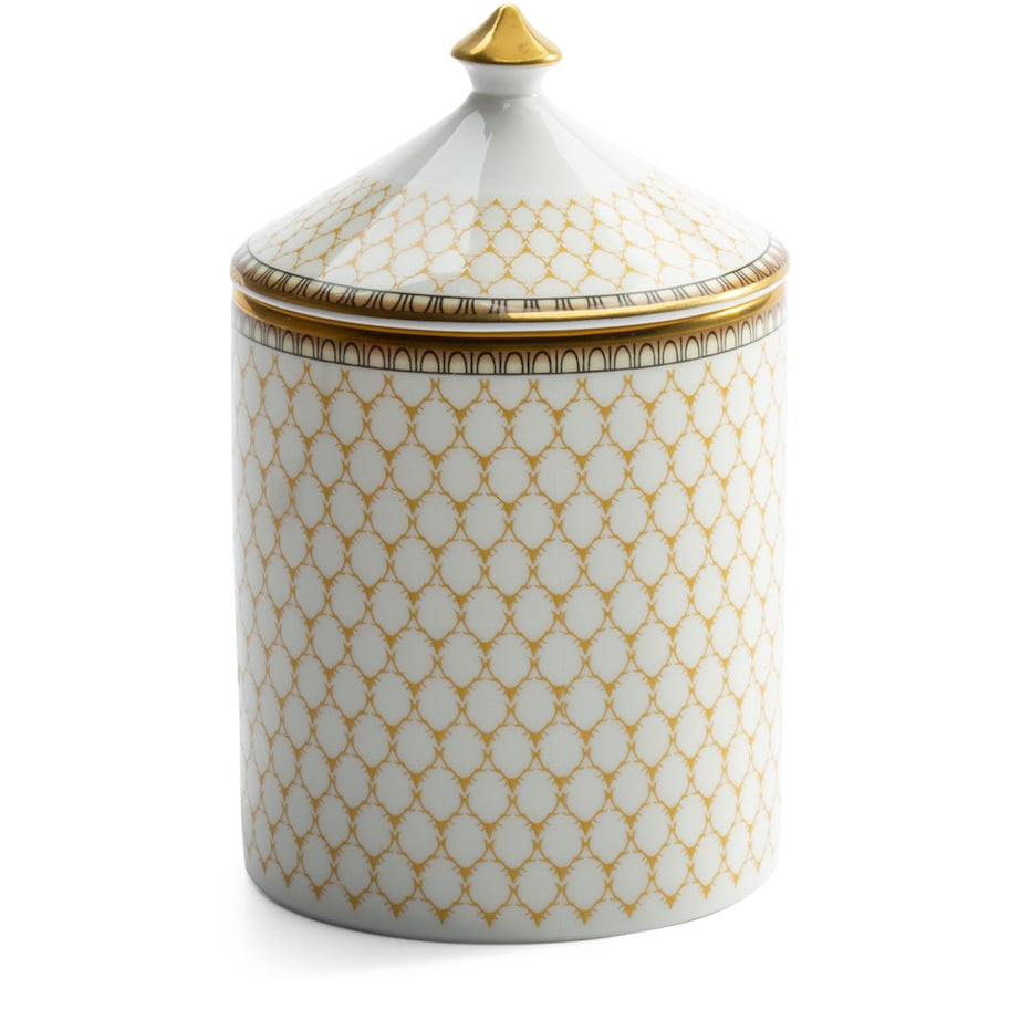 Antler Trellis Hyacinth Candle (470g)