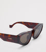 LOEWE Brown x Paula's Ibiza Front Lenses Cat Eye Sunglasses