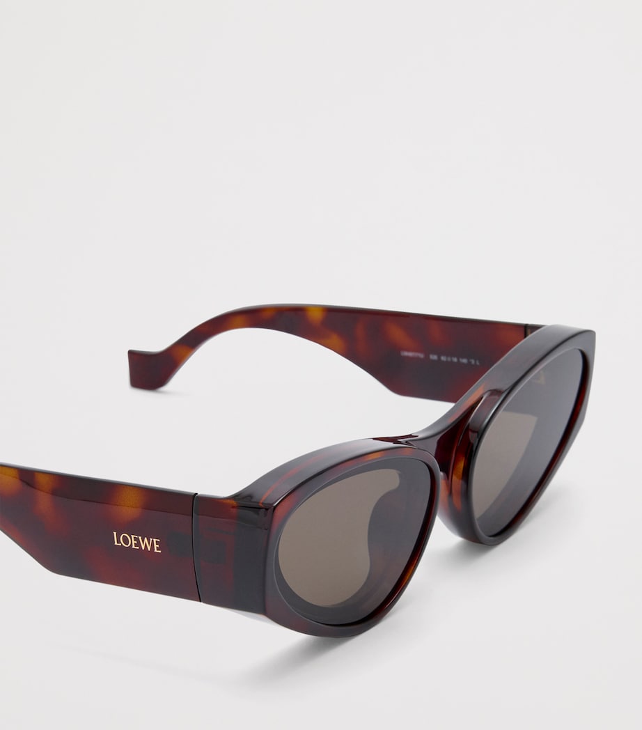 LOEWE Brown x Paula's Ibiza Front Lenses Cat Eye Sunglasses