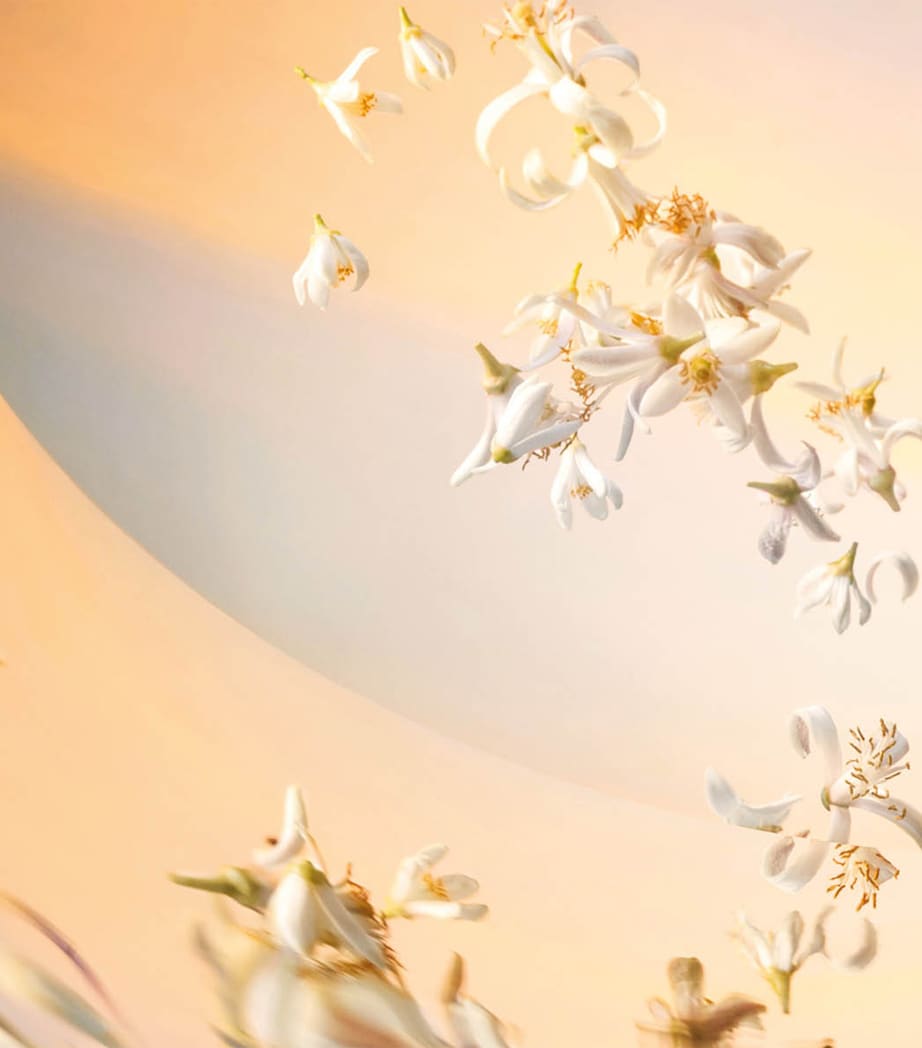 L’Art & La Matière Neroli Plein Sud Eau de Parfum (100ml)