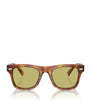 Brown Acetate BC4002S Sunglasses