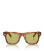 Acetate BC4002S Sunglasses