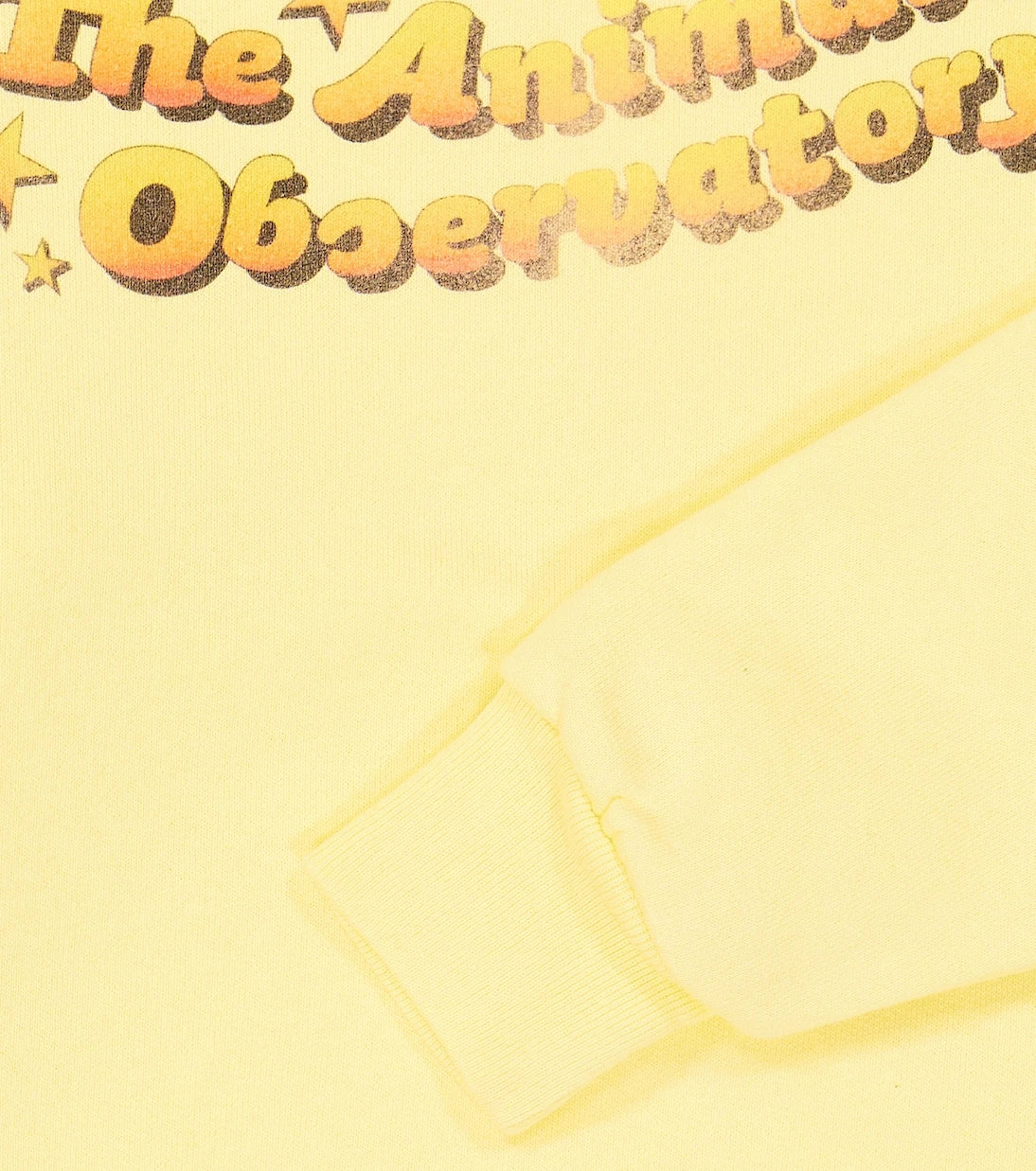The Animals Observatory - سويت شيرت من القطن جيرسيه بطبعة دب