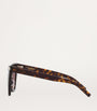 Brown Injected SL 214 Kate Sunglasses