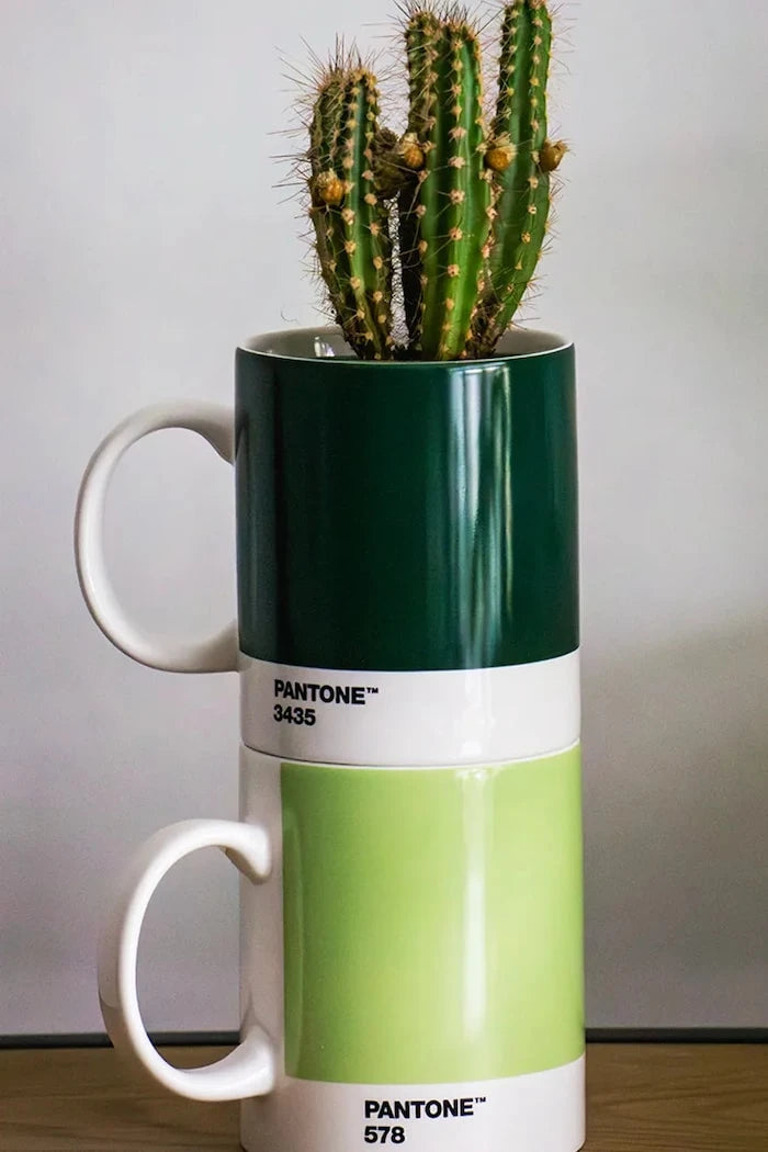 Чаша Pantone 375 ml