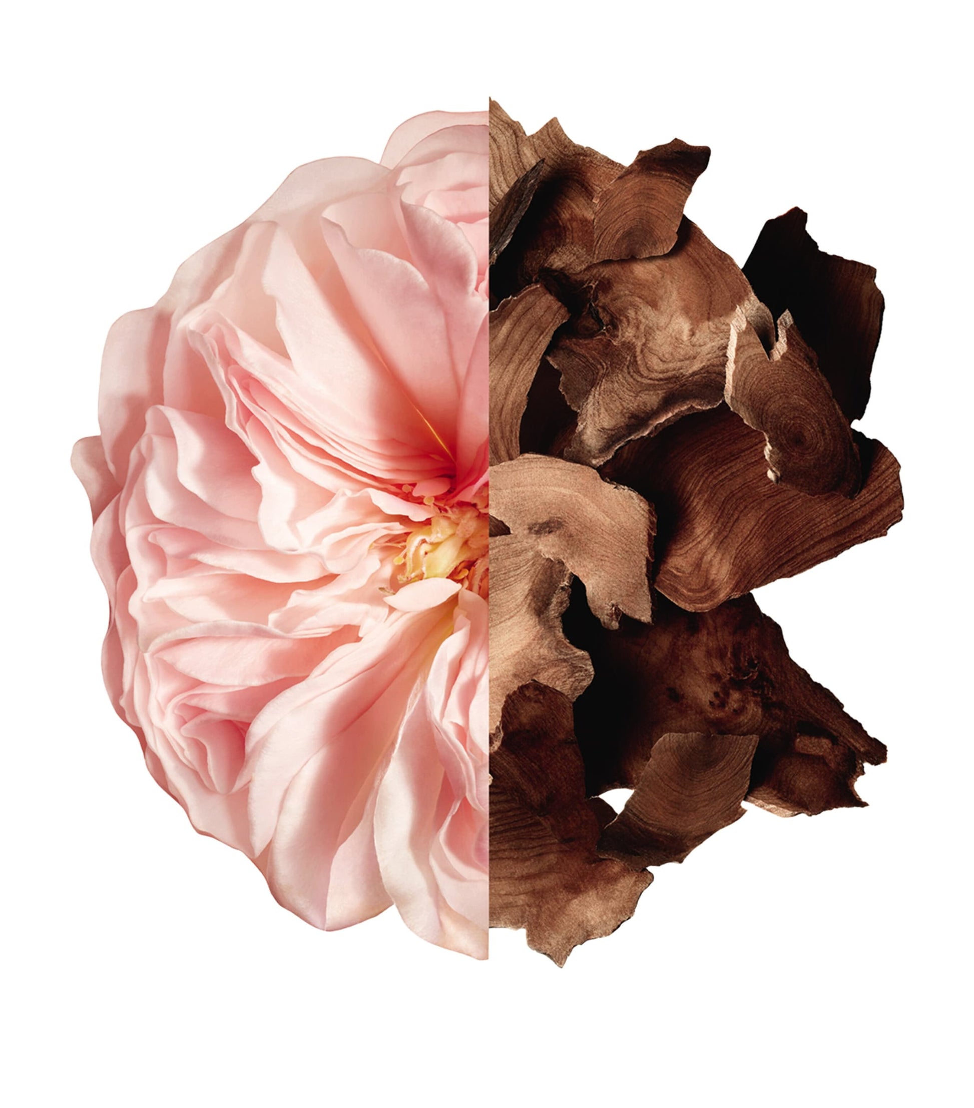 Givenchy Irresistible Perfumed Bath & Shower Oil for Women (200ml)