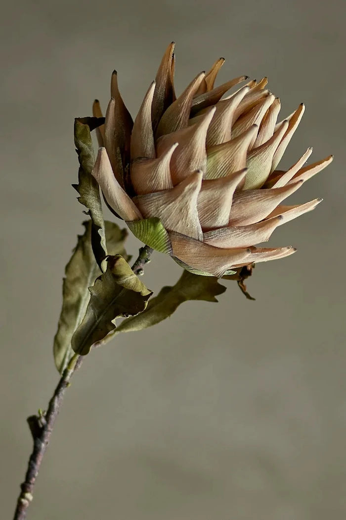 Изкуствени цветя Bloomingville Protea Stem 76 cm