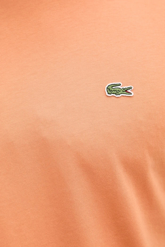 Lacoste basic erkek pamuklu tişört