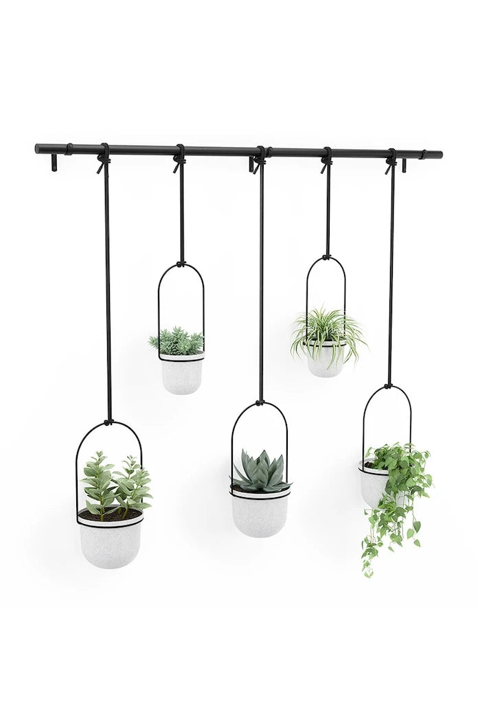 Umbra Duvar Saksı Seti 2 x O 10 cm / 3 x O15 cm