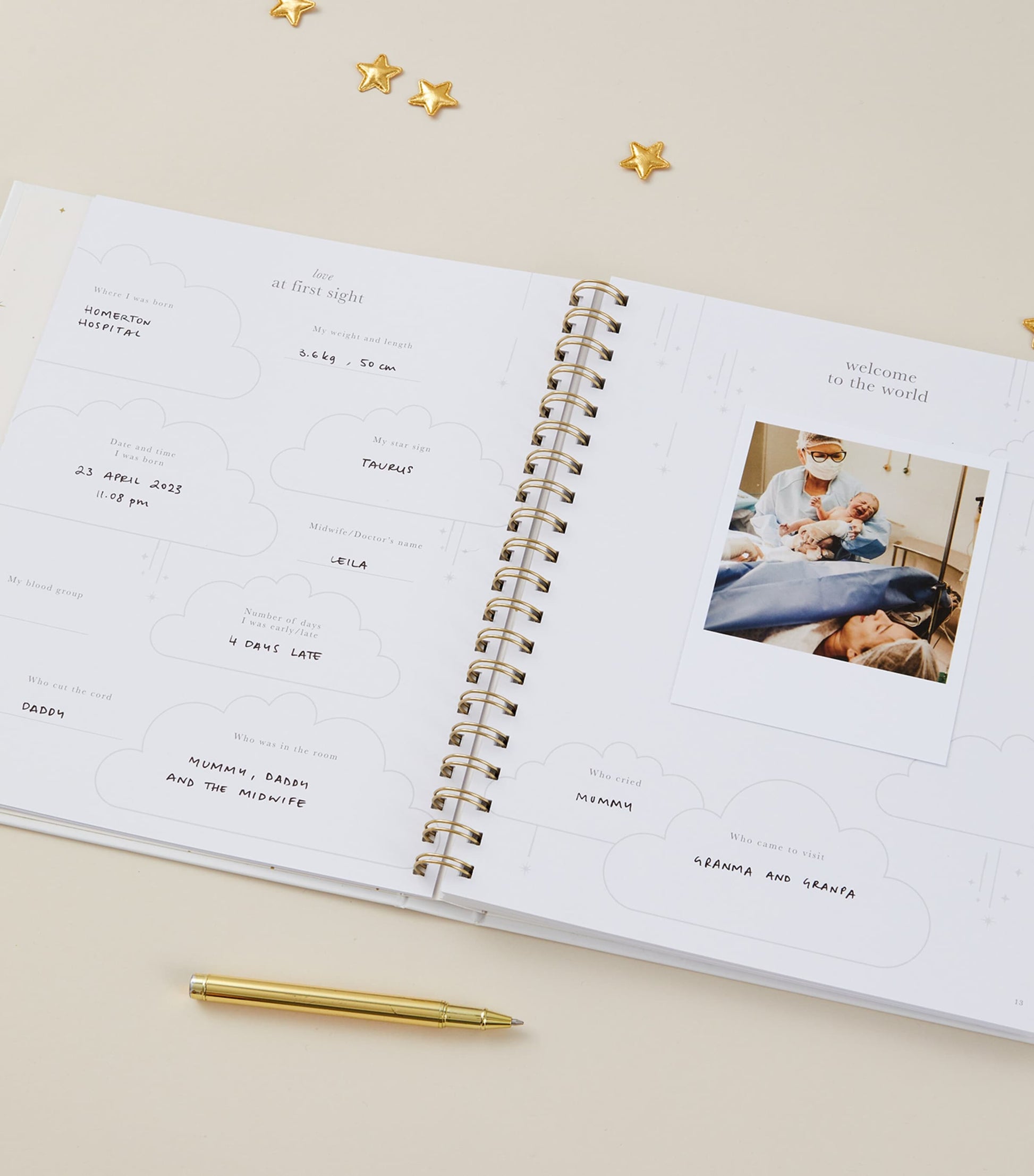 Safari Baby Memory Book