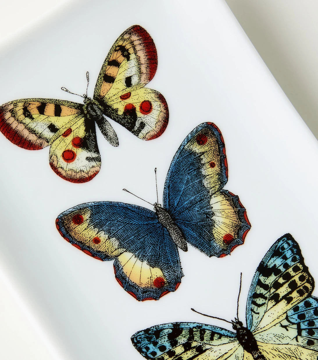 Fornasetti - Farfalle porcelain ashtray