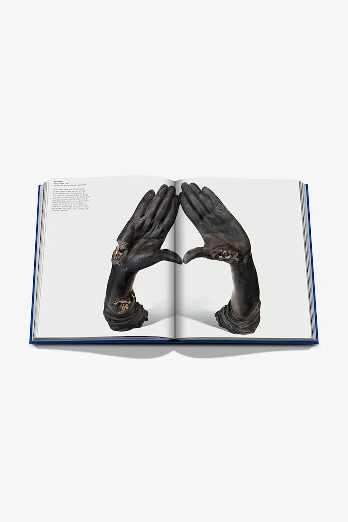 Книга Assouline The Book of Hov: Bir Jay-Z Saygı Duruşu, Collectif, İngilizce