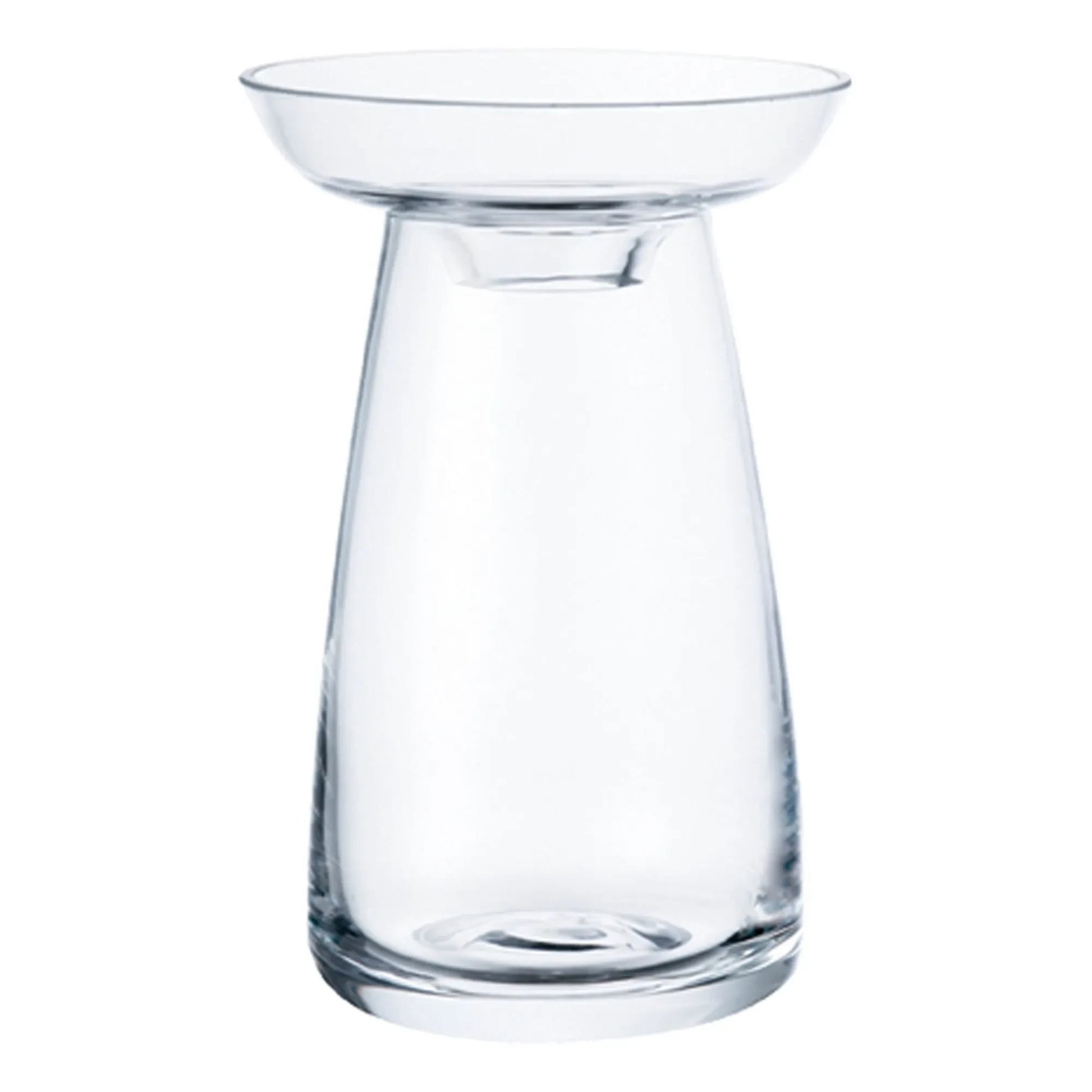 Kinto - Aquaculture Glass Vase | Transparent