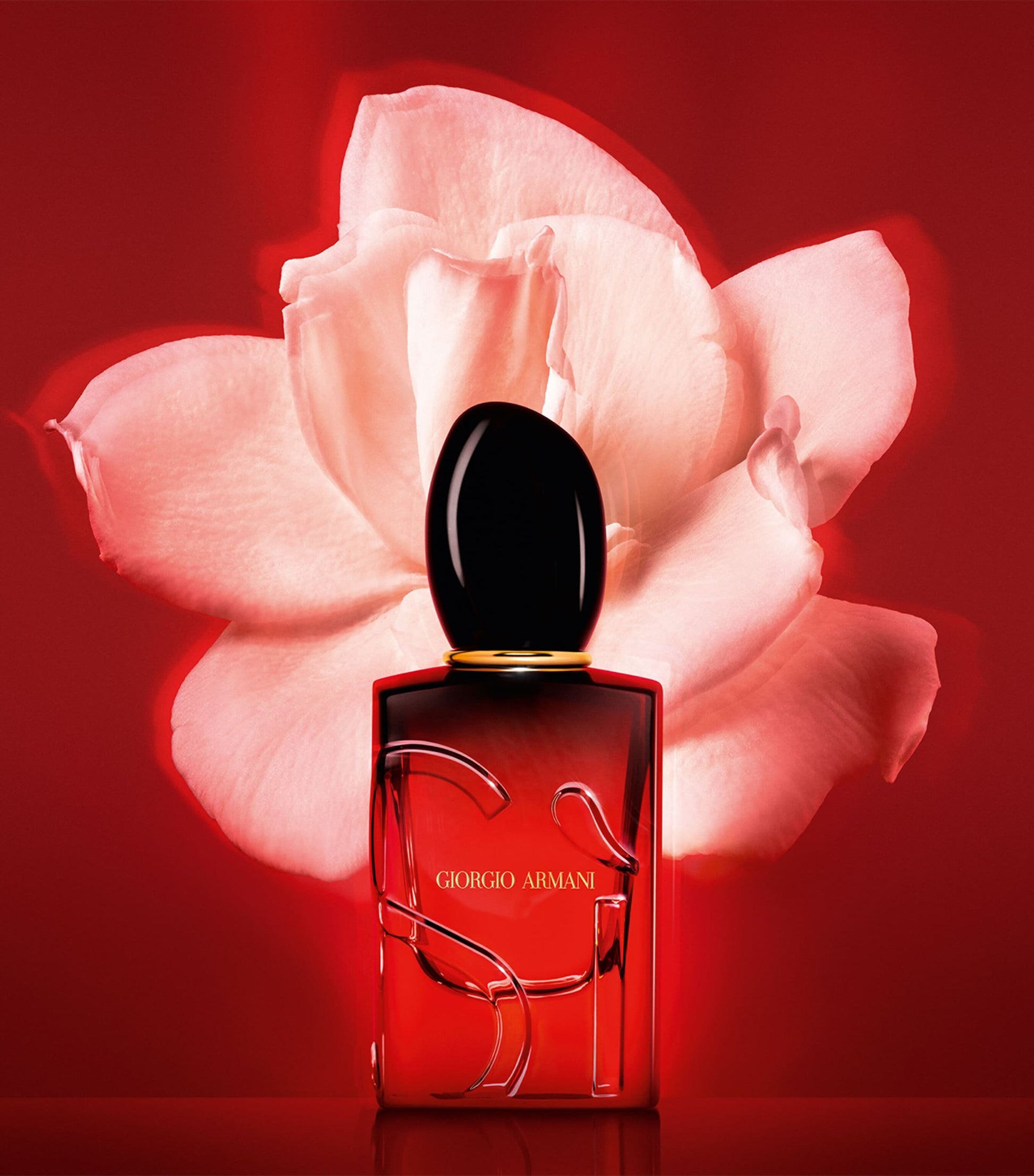 Si Passione Intense Eau de Parfum (30ml)