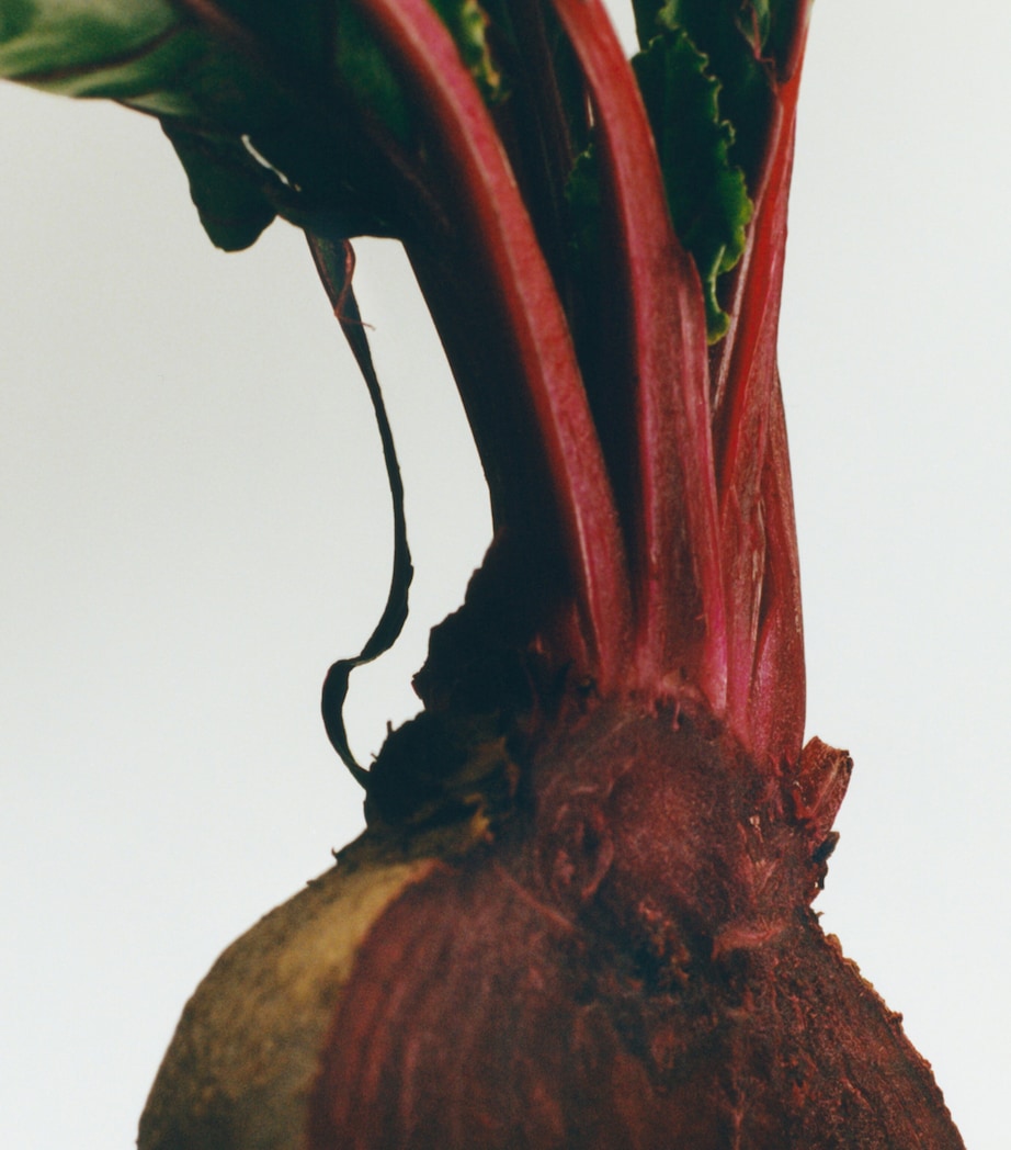 Beetroot Chandelier Candle (330g)