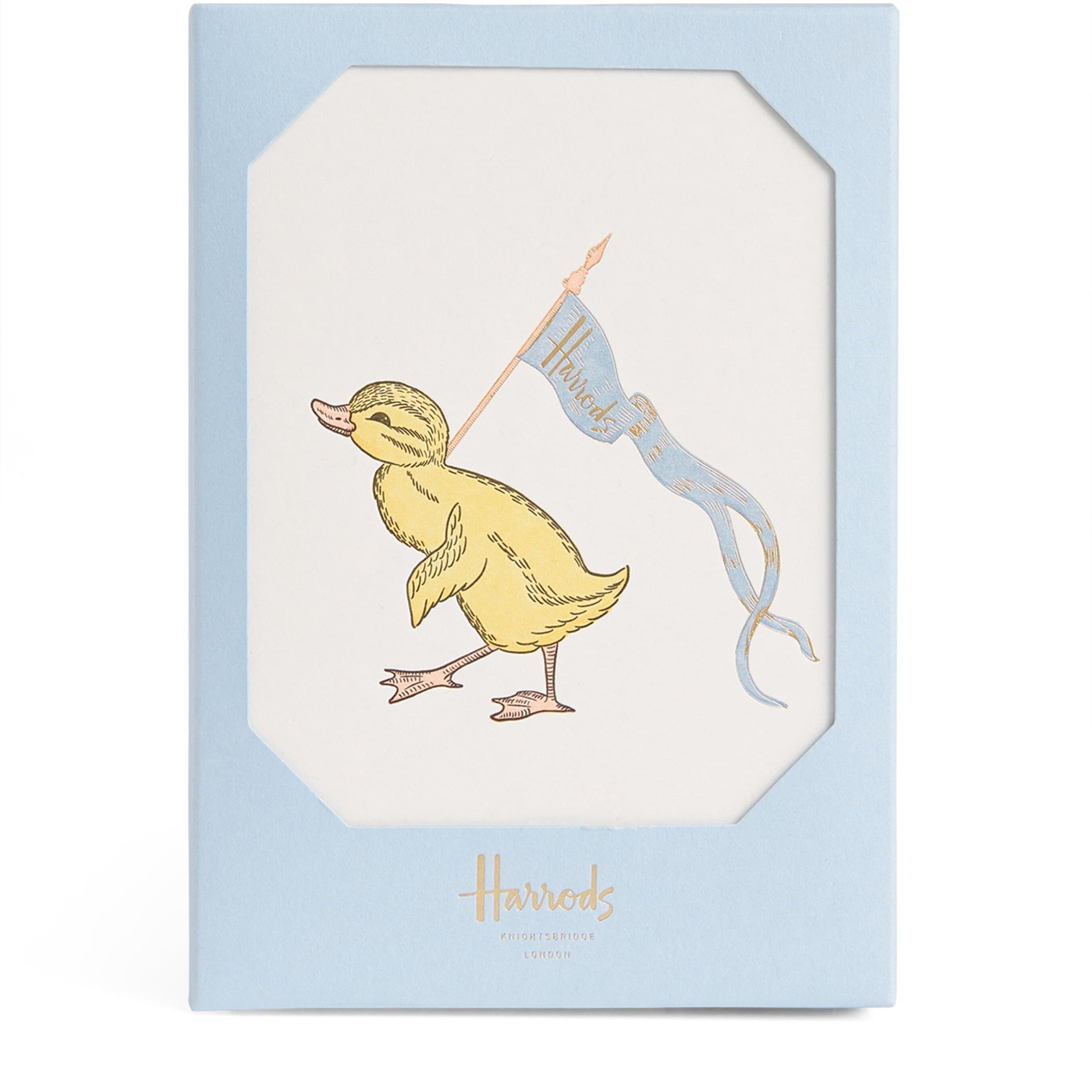 Duck Notelet Cards and Envelopes (Set of 5)