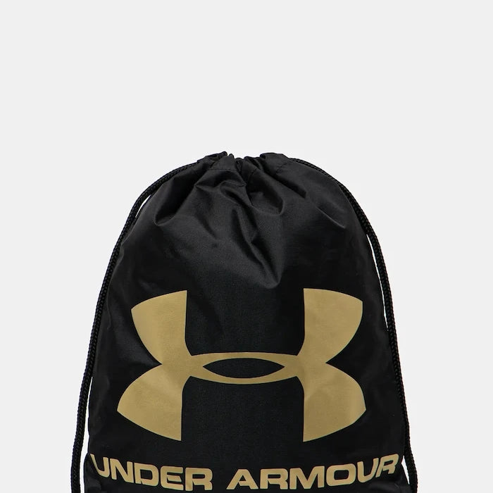 Раница Under Armour