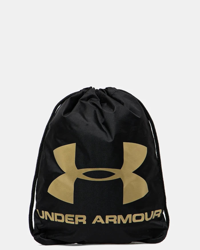 Under Armour Sırt Çantası