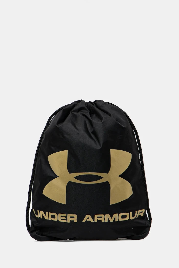 Раница Under Armour