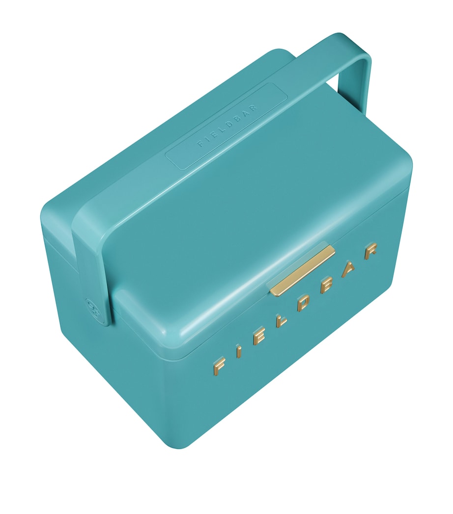 Mini Bar Cooler Box with Leather Sling (4L)