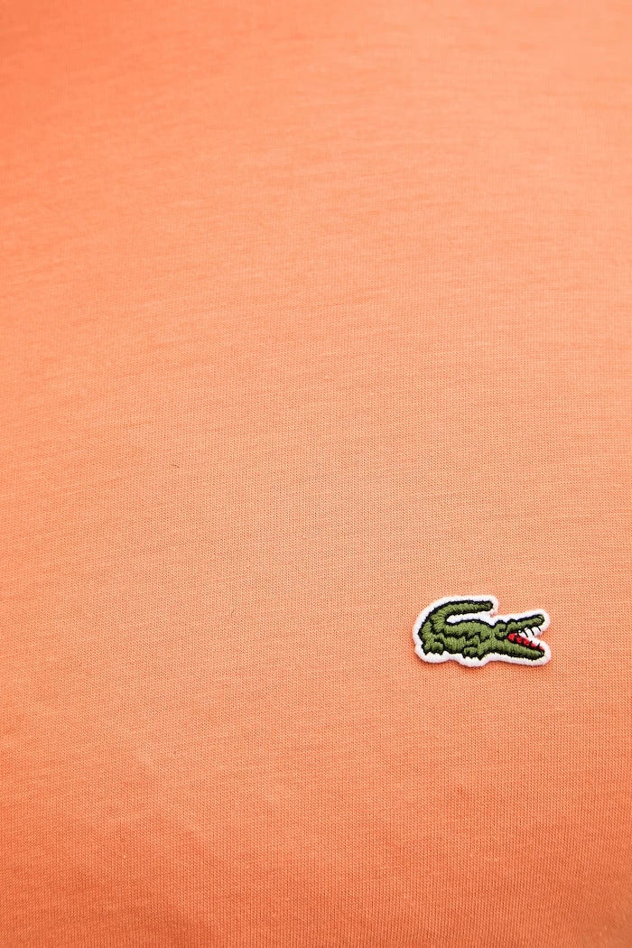 Lacoste erkek pamuklu tişört