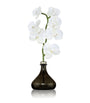 The Orchid White Flowers Diffuser (250ml)