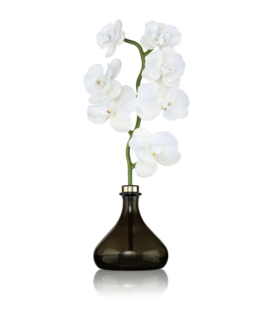 The Orchid White Flowers Diffuser (250ml)