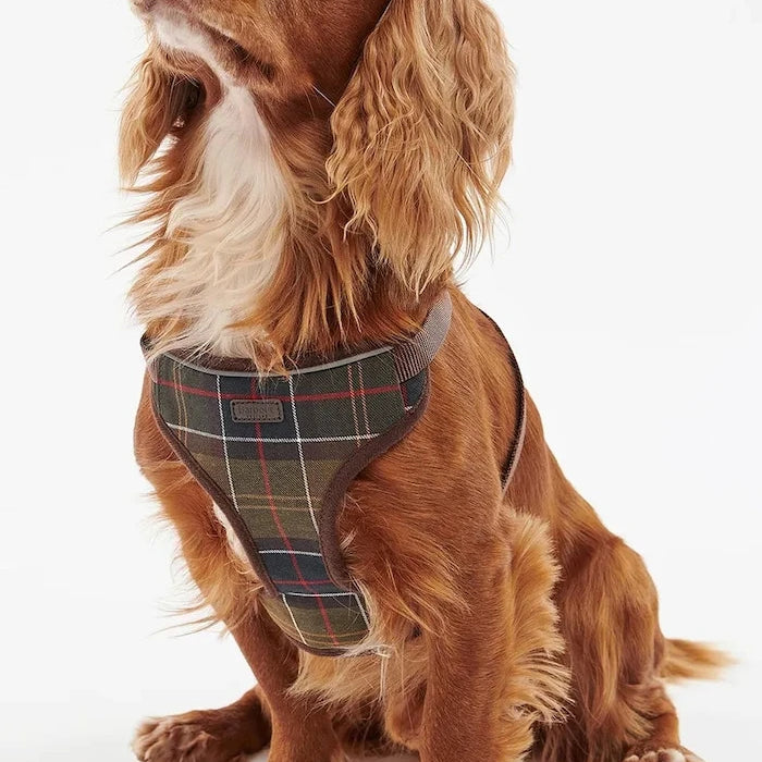 Barbour Travel And Exercise Köpek Göğüs Tasması