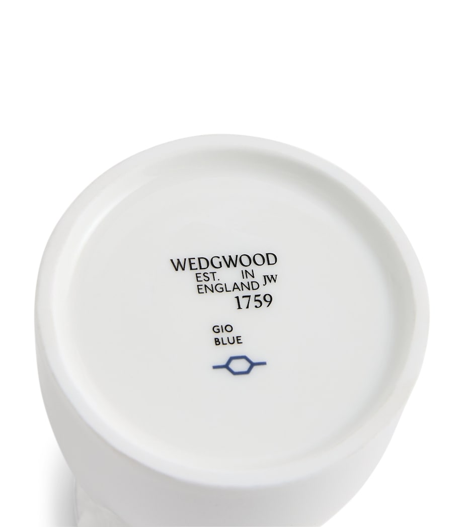 Fine Bone China Gio Baijiu Jug (118ml)