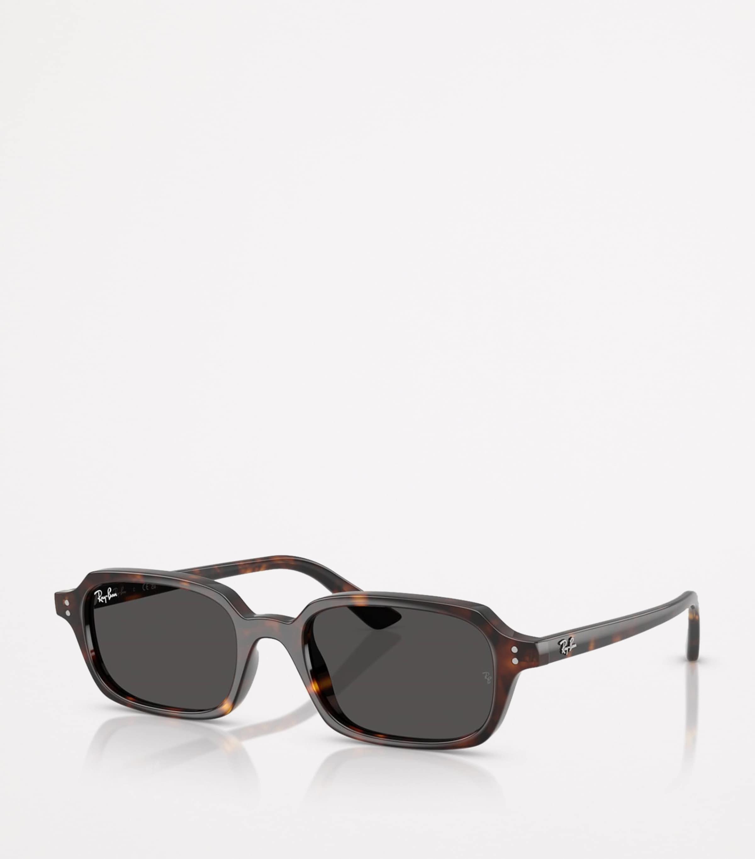 Ray-Ban RB4455 Zuri Bio-Based Sunglasses