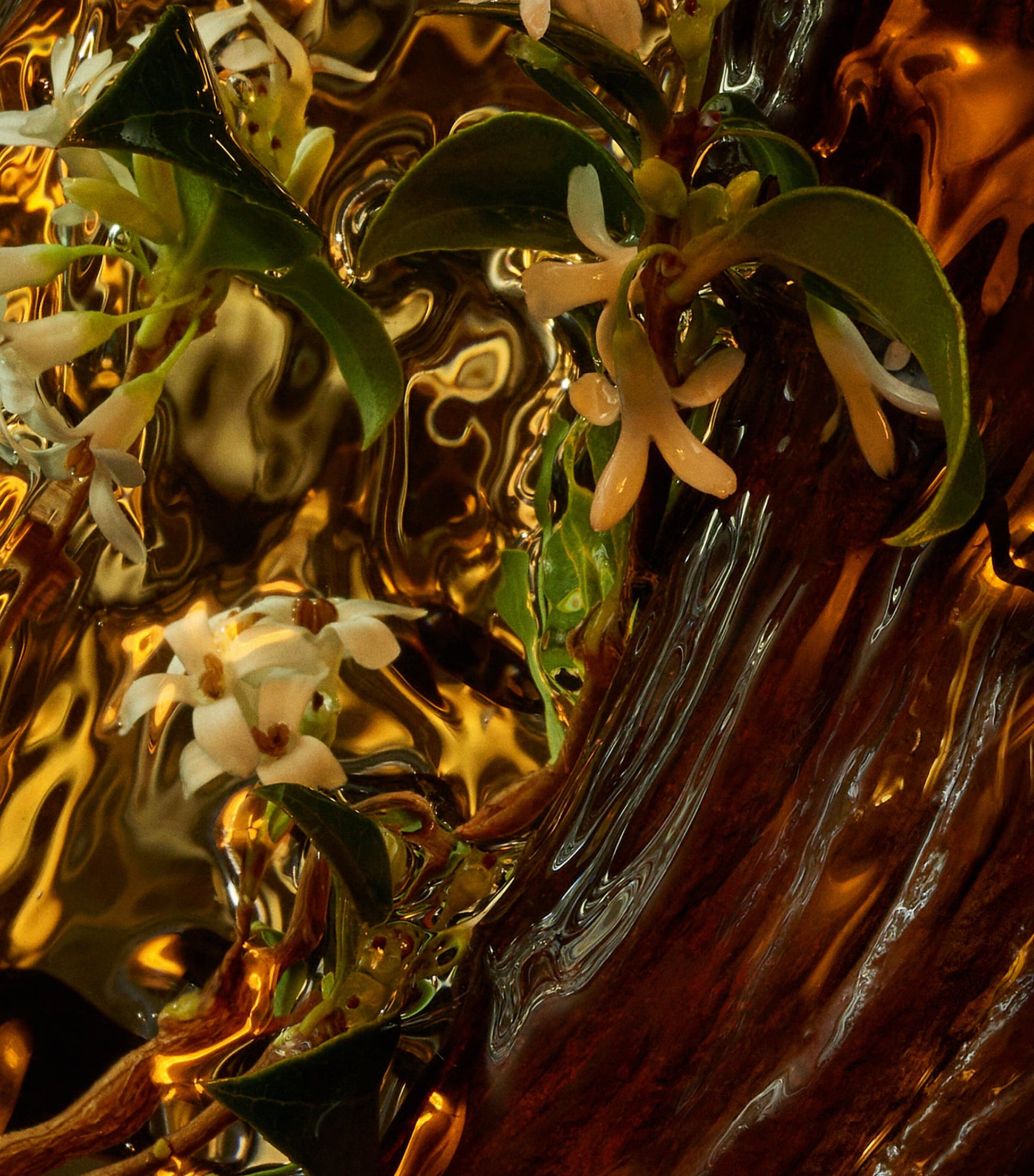 Absolus Allegoria Cuir Intense Eau de Parfum (125ml)