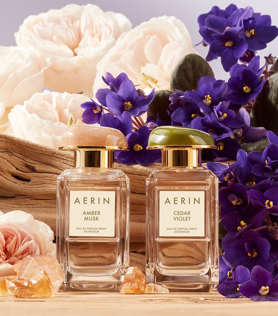 Amber Musk Eau de Parfum (50ml)