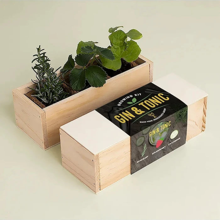 RESETEA Gin Tonic Growing Kit Bitki Yetiştirme Seti 21 x 7,8 x 6,5 cm
