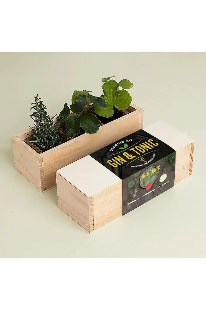 RESETEA Gin Tonic Growing Kit Bitki Yetiştirme Seti 21 x 7,8 x 6,5 cm