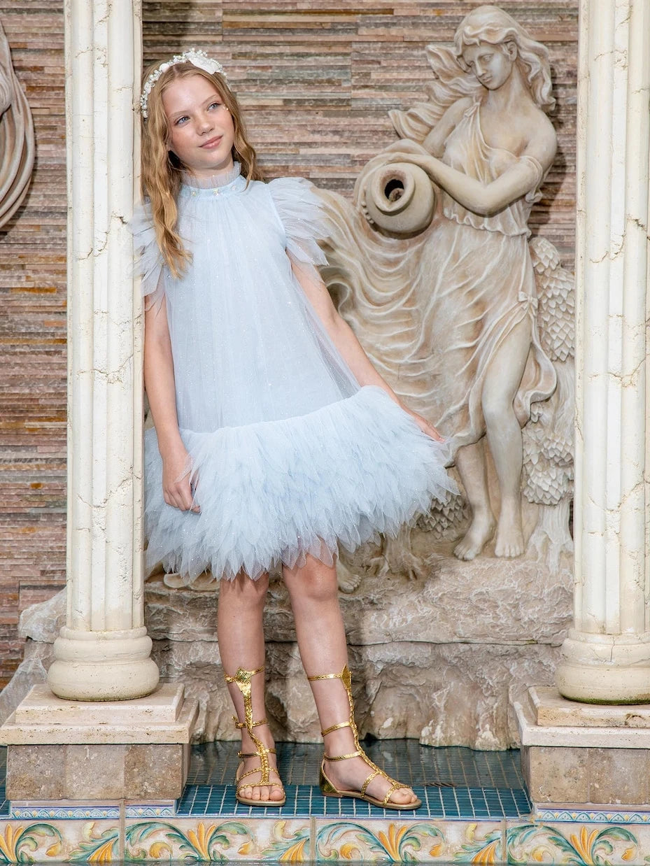 Tutu Du Monde - Dahlia embellished tulle dress