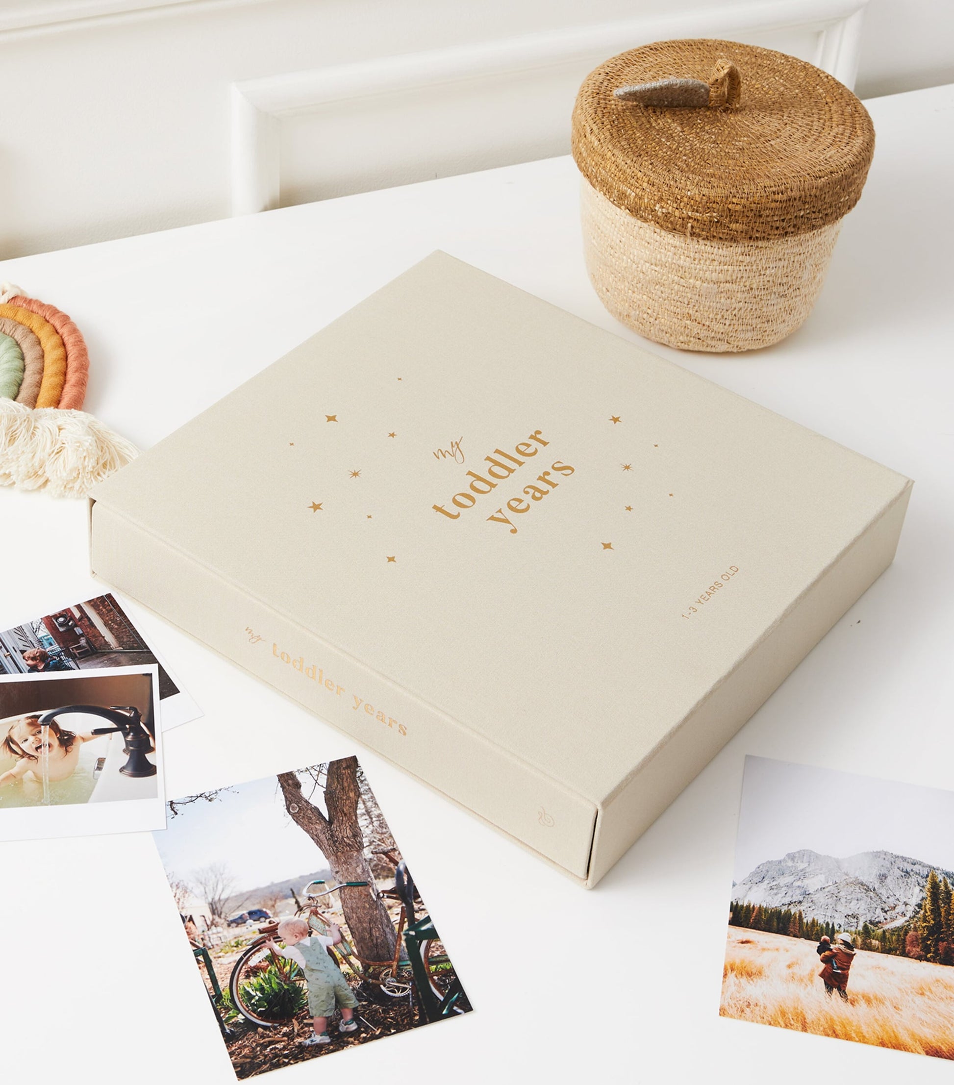 Blush and Gold My Toddler Years Photo Album