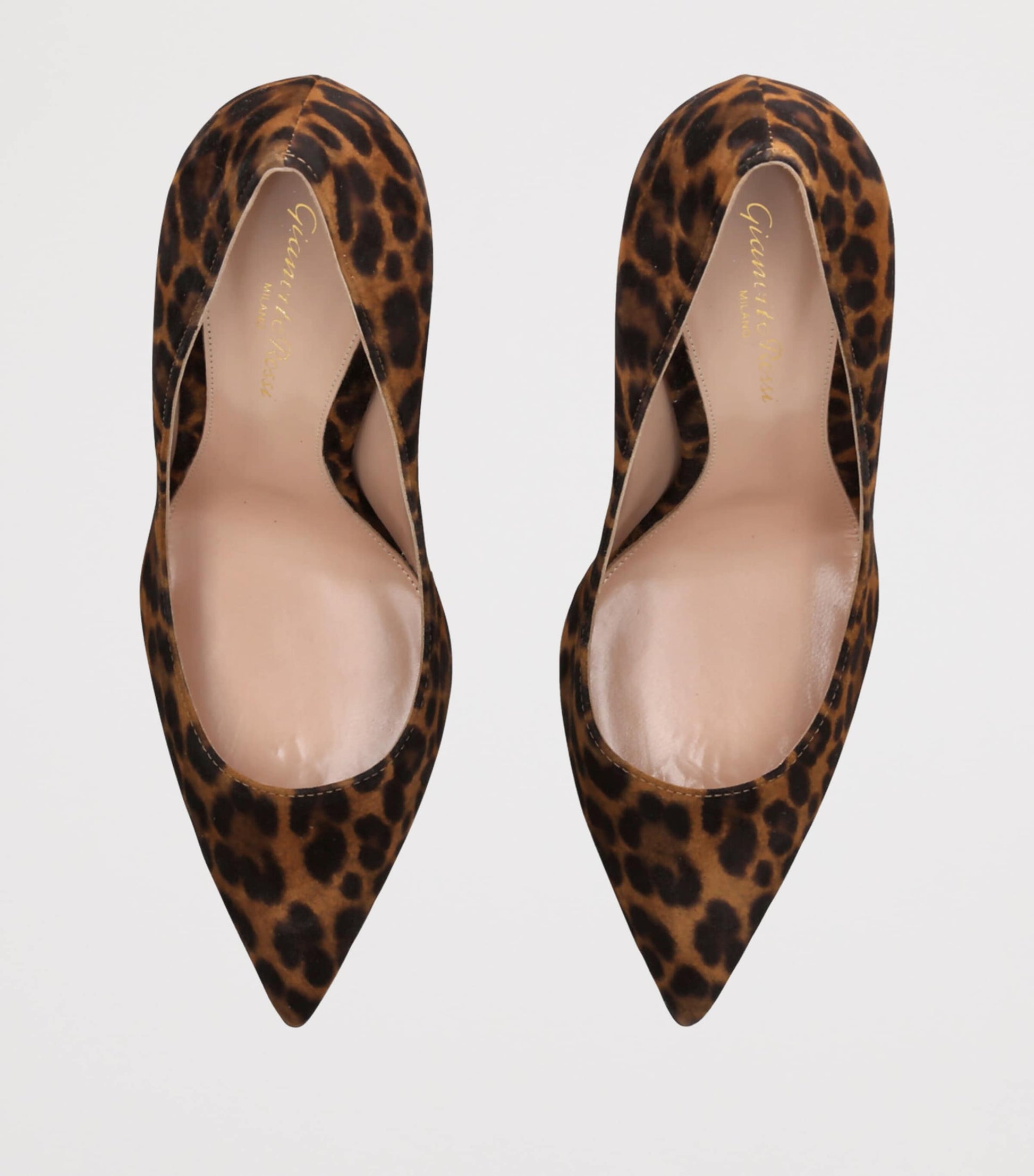 Gianvito Rossi Brown Suede Leopard Gianvito Pumps 105