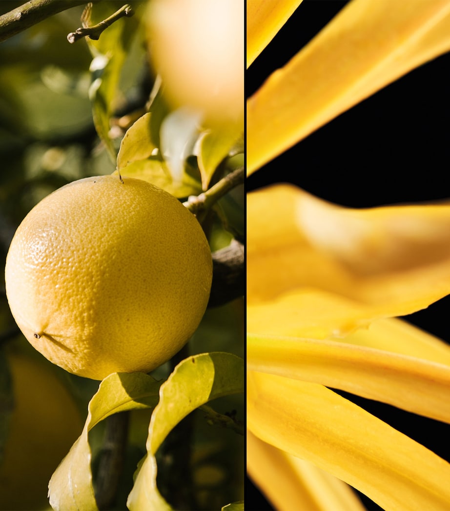 Les Légendaires Terracotta Eau de Toilette (75ml)