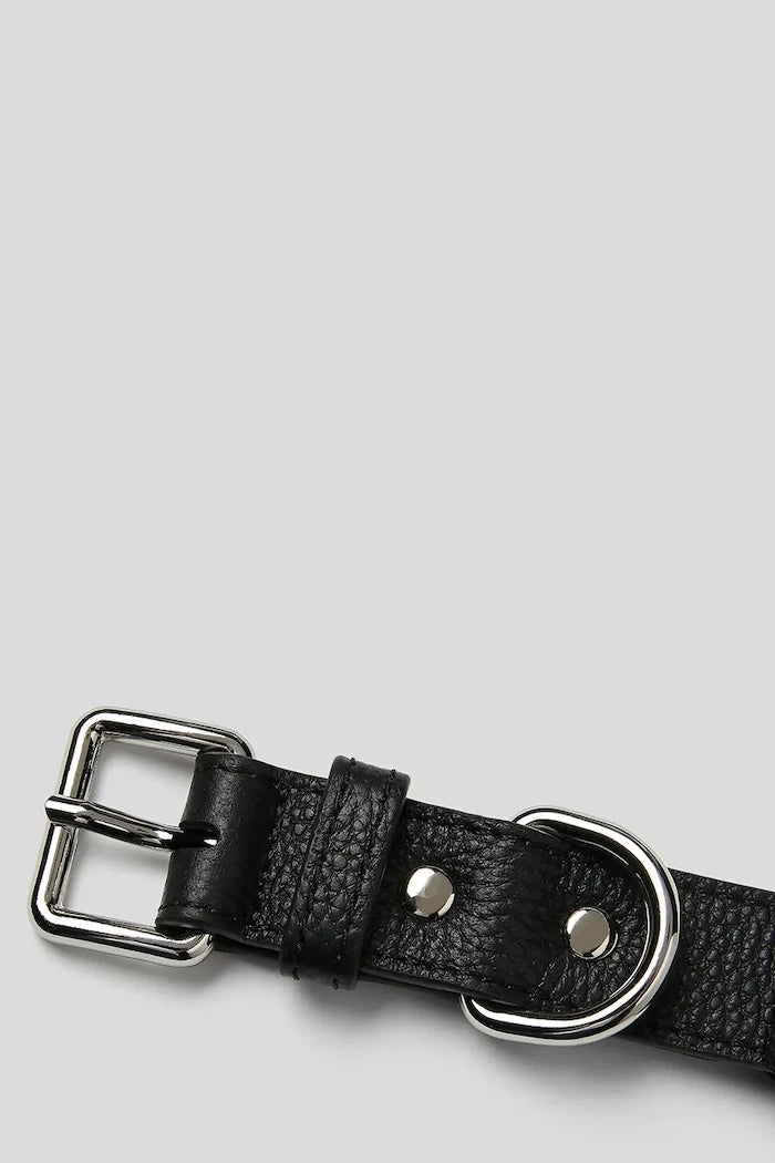 Karl Lagerfeld Ikon Köpek Tasması