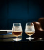 Set of 2 Connoisseur Aras Brandy Balloons (510ml)