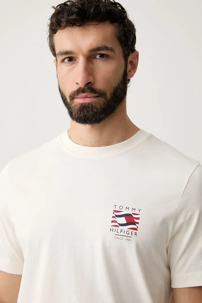 Tommy Hilfiger pamuklu erkek tişört